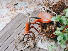 -时光花园(白鹭洲店)