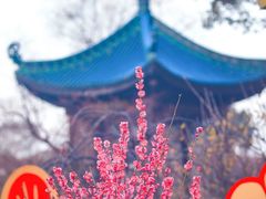 -无锡梅园公园