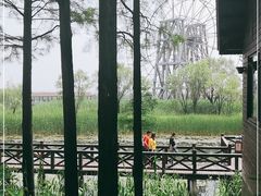 -太湖湖滨国家湿地公园-停车场