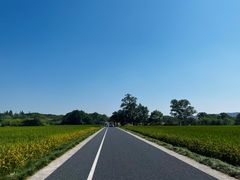 -良渚古城遗址公园