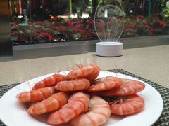 -亮马河饭店翠雅咖啡厅