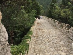 -原山国家森林公园