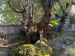 -Chom Cafe and Restaurant