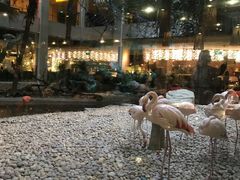 景观位-白虎自助餐厅·真老虎·景观自助餐厅(广州长隆酒店)