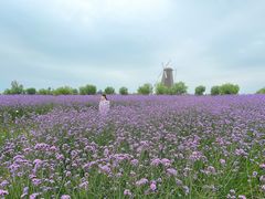 -漩门湾国家湿地公园