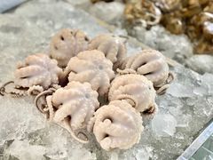 -铭聚章鱼土笋冻(松柏店)