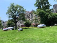 -光明港公园