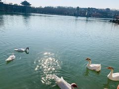 -茅山东方盐湖城景区