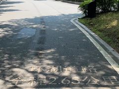 -海珠湖公园