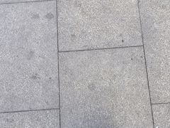 -天下第一面(大雁塔北广场店)