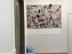 -宠物星动物医院·眼科·异宠·猫科(江南大道总院)