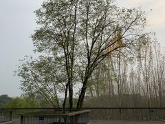 -白鹭湾湿地公园