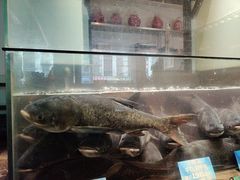 -上名堂·鱼头好吃(体育场路店)