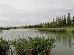-两河城市森林公园
