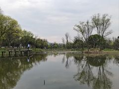 -西溪国家湿地公园