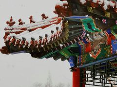 -大连植物园