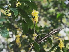 -南通博物苑-崇川人民公园