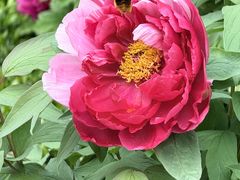 -花溪公园