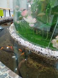 -纵享怡月月子中心(西稍门店)