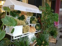 -植物学家的女儿(北马道巷店)