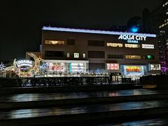 -台场海滨公园船码头