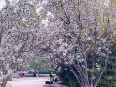 -元大都城垣遗址公园