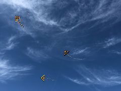 公园门口南侧风筝世界-南海子公园