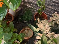 -泰古龙抓龙筋·spa按摩(静安店)