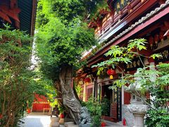 -叩齿古寺