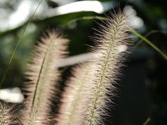 -金海湾滨江公园