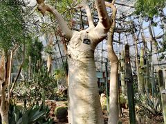 -北京植物园-展览温室