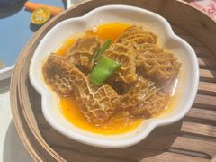 -点都德·毕德寮