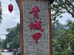 -青城甲(青城山店)