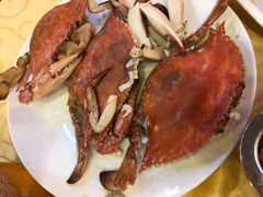 -海岛渔村大酒店(云霄路店)