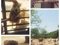 -杭州野生动物世界