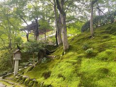 -常寂光寺