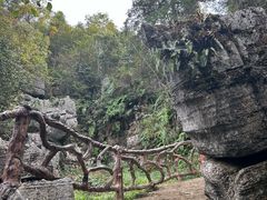 -梭布垭石林景区