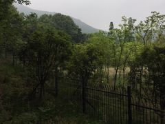 -紫金山山顶公园