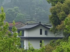 -春娟茶楼·地道农家菜(梅家坞店)