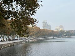 -李公堤