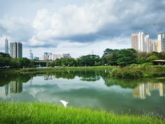 -福田红树林生态公园