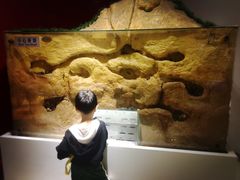 -上海昆虫博物馆