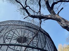 -吉林市朱雀山国家森林公园