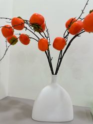 -苗方清颜专业祛痘·皮肤管理