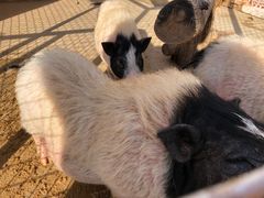 -金庭庄园酒店-停车场