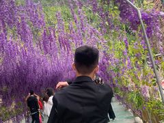 -爱情山风景区