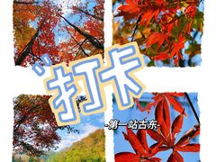 -桂林古东瀑布景区