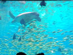 -福州罗源湾海洋世界旅游区