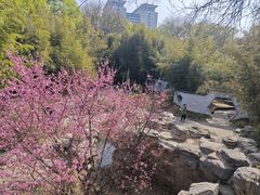 -紫竹院公园-东门停车场