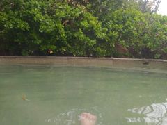 -仁爱团泊湖温泉中心